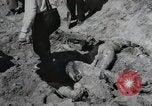 Image of Nazi atrocity victims of Gardelegen massacre Gardelegen Germany, 1945, second 48 stock footage video 65675023571