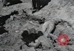 Image of Nazi atrocity victims of Gardelegen massacre Gardelegen Germany, 1945, second 51 stock footage video 65675023571