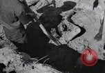 Image of Nazi atrocity victims of Gardelegen massacre Gardelegen Germany, 1945, second 58 stock footage video 65675023571