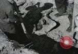 Image of Nazi atrocity victims of Gardelegen massacre Gardelegen Germany, 1945, second 59 stock footage video 65675023571