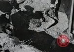 Image of Nazi atrocity victims of Gardelegen massacre Gardelegen Germany, 1945, second 61 stock footage video 65675023571