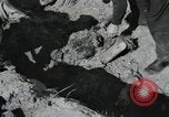 Image of Nazi atrocity victims of Gardelegen massacre Gardelegen Germany, 1945, second 62 stock footage video 65675023571