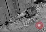Image Gardelegen Massacre Gardelegen Allemagne, 1945, de la seconde 1 séquences d'archives historiques vidéo 65675023572