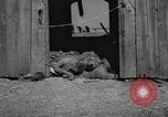 Image Gardelegen Massacre Gardelegen Allemagne, 1945, de la seconde 9 séquences d'archives historiques vidéo 65675023572