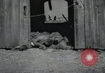 Image Gardelegen Massacre Gardelegen Allemagne, 1945, de la seconde 10 séquences d'archives historiques vidéo 65675023572
