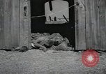 Image Gardelegen Massacre Gardelegen Allemagne, 1945, de la seconde 11 séquences d'archives historiques vidéo 65675023572