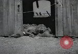 Image Gardelegen Massacre Gardelegen Allemagne, 1945, de la seconde 12 séquences d'archives historiques vidéo 65675023572