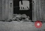 Image Gardelegen Massacre Gardelegen Allemagne, 1945, de la seconde 15 séquences d'archives historiques vidéo 65675023572