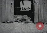 Image Gardelegen Massacre Gardelegen Allemagne, 1945, de la seconde 16 séquences d'archives historiques vidéo 65675023572