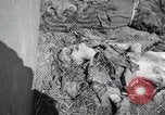 Image Gardelegen Massacre Gardelegen Allemagne, 1945, de la seconde 23 séquences d'archives historiques vidéo 65675023572