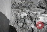 Image Gardelegen Massacre Gardelegen Allemagne, 1945, de la seconde 24 séquences d'archives historiques vidéo 65675023572