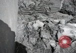 Image Gardelegen Massacre Gardelegen Allemagne, 1945, de la seconde 25 séquences d'archives historiques vidéo 65675023572