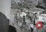 Image Gardelegen Massacre Gardelegen Allemagne, 1945, de la seconde 26 séquences d'archives historiques vidéo 65675023572