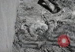 Image Gardelegen Massacre Gardelegen Allemagne, 1945, de la seconde 27 séquences d'archives historiques vidéo 65675023572
