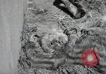 Image Gardelegen Massacre Gardelegen Allemagne, 1945, de la seconde 28 séquences d'archives historiques vidéo 65675023572
