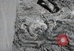 Image Gardelegen Massacre Gardelegen Allemagne, 1945, de la seconde 29 séquences d'archives historiques vidéo 65675023572