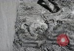 Image Gardelegen Massacre Gardelegen Allemagne, 1945, de la seconde 30 séquences d'archives historiques vidéo 65675023572