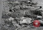 Image Gardelegen Massacre Gardelegen Allemagne, 1945, de la seconde 31 séquences d'archives historiques vidéo 65675023572