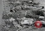 Image Gardelegen Massacre Gardelegen Allemagne, 1945, de la seconde 32 séquences d'archives historiques vidéo 65675023572