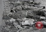 Image Gardelegen Massacre Gardelegen Allemagne, 1945, de la seconde 33 séquences d'archives historiques vidéo 65675023572