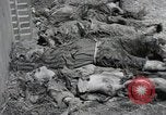 Image Gardelegen Massacre Gardelegen Allemagne, 1945, de la seconde 34 séquences d'archives historiques vidéo 65675023572