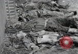 Image Gardelegen Massacre Gardelegen Allemagne, 1945, de la seconde 35 séquences d'archives historiques vidéo 65675023572