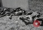 Image Gardelegen Massacre Gardelegen Allemagne, 1945, de la seconde 40 séquences d'archives historiques vidéo 65675023572