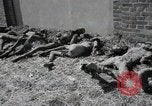 Image Gardelegen Massacre Gardelegen Allemagne, 1945, de la seconde 42 séquences d'archives historiques vidéo 65675023572