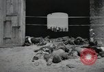 Image Gardelegen Massacre Gardelegen Allemagne, 1945, de la seconde 43 séquences d'archives historiques vidéo 65675023572