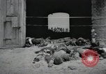 Image Gardelegen Massacre Gardelegen Allemagne, 1945, de la seconde 44 séquences d'archives historiques vidéo 65675023572