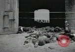 Image Gardelegen Massacre Gardelegen Allemagne, 1945, de la seconde 45 séquences d'archives historiques vidéo 65675023572
