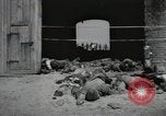 Image Gardelegen Massacre Gardelegen Allemagne, 1945, de la seconde 47 séquences d'archives historiques vidéo 65675023572