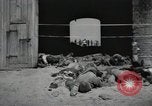 Image Gardelegen Massacre Gardelegen Allemagne, 1945, de la seconde 48 séquences d'archives historiques vidéo 65675023572