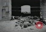 Image Gardelegen Massacre Gardelegen Allemagne, 1945, de la seconde 49 séquences d'archives historiques vidéo 65675023572