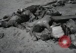 Image Gardelegen Massacre Gardelegen Allemagne, 1945, de la seconde 51 séquences d'archives historiques vidéo 65675023572