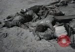 Image Gardelegen Massacre Gardelegen Allemagne, 1945, de la seconde 53 séquences d'archives historiques vidéo 65675023572