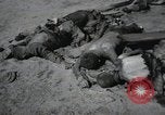 Image Gardelegen Massacre Gardelegen Allemagne, 1945, de la seconde 54 séquences d'archives historiques vidéo 65675023572