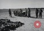 Image Gardelegen Massacre Gardelegen Allemagne, 1945, de la seconde 56 séquences d'archives historiques vidéo 65675023572