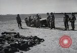 Image Gardelegen Massacre Gardelegen Allemagne, 1945, de la seconde 58 séquences d'archives historiques vidéo 65675023572