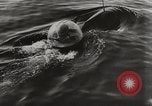 Immagine di Il tedesco Neger one-man carrier a siluro craft Lubeck Germania, 1944, secondo 11 filmato di repertorio 65675023573