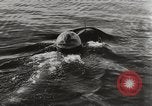 Immagine di Il tedesco Neger one-man carrier a siluro craft Lubeck Germania, 1944, secondo 13 filmato di repertorio 65675023573