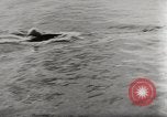 Immagine di Il tedesco Neger one-man carrier a siluro craft Lubeck Germania, 1944, secondo 25 filmato di repertorio 65675023573