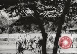 Immagine di Ufficiali britannici di rinuncia Singapore, 1942, secondo 15 filmato di repertorio 65675023575