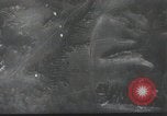 Immagine di Heinkel He 111K Unione Sovietica, 1943, secondo 29 filmato di repertorio 65675023580
