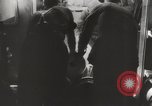Image Krupp pistolet ferroviaire K5 l'Europe, 1943, de la seconde 44 séquences d'archives historiques vidéo 65675023581