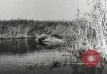 Image l'allemand et le roumain des troupes soviétiques de bataille Crimée, 1941, de la seconde 30 séquences d'archives historiques vidéo 65675023583