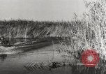 Image l'allemand et le roumain des troupes soviétiques de bataille Crimée, 1941, de la seconde 32 séquences d'archives historiques vidéo 65675023583