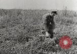 Image les troupes allemandes Kertch Crimée, 1941, de la seconde 16 séquences d'archives historiques vidéo 65675023584