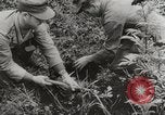 Image les troupes allemandes Kertch Crimée, 1941, de la seconde 19 séquences d'archives historiques vidéo 65675023584