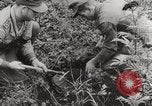 Image les troupes allemandes Kertch Crimée, 1941, de la seconde 20 séquences d'archives historiques vidéo 65675023584
